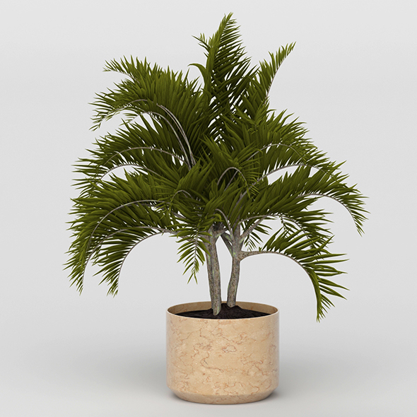 Vray Ready Potted - 3Docean 20692292