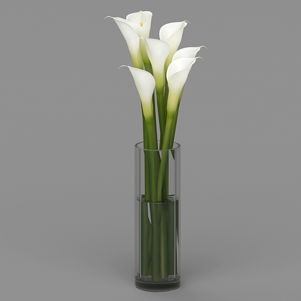 Vray Ready Flower - 3Docean 20692339