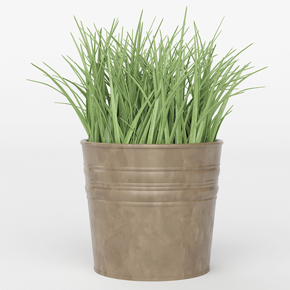 Vray Ready Potted - 3Docean 20692406