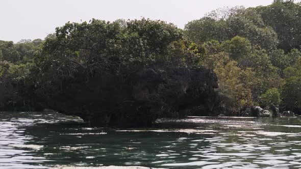 Lagoon at Kwale Island in Menai Bay Mangroves with Reefs and Rocks Zanzibar alt