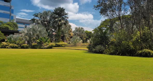 Pan View of Green Garden