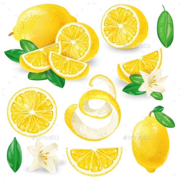 Different Lemons with Leaves and Flowers Vector - Food Objects