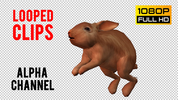 Rabbits Looped 4 alt