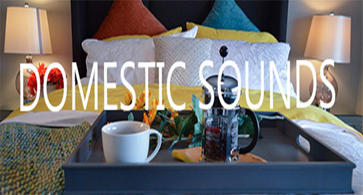 Domestic Sounds
