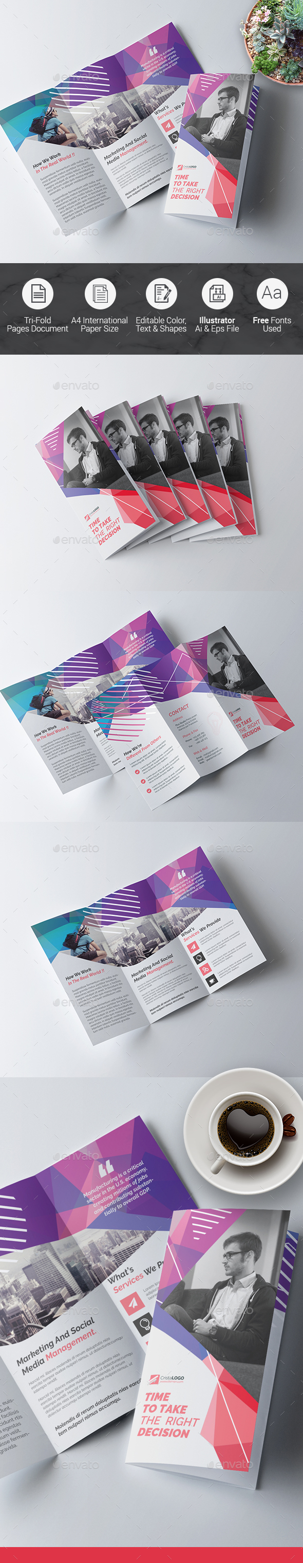Tri fold Multipurpose Brochure - Corporate Brochures