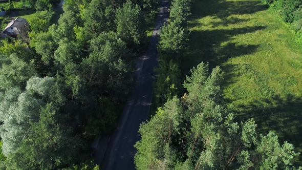 Flying Above Road and Forest