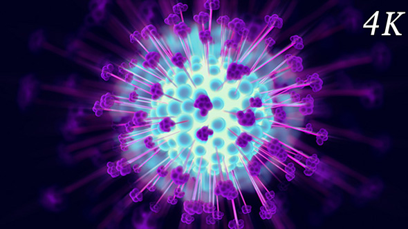 Delicate Flower 4K 01 alt