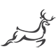 chitrakootweb