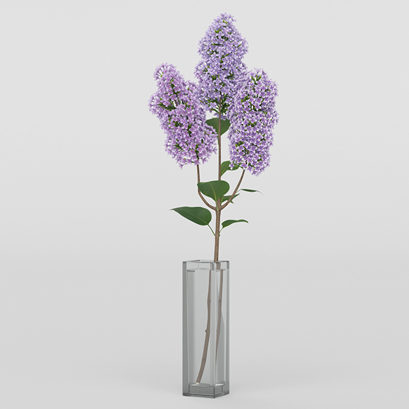 Vray Ready Flower - 3Docean 20713419