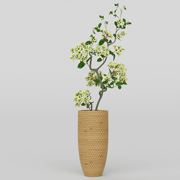 Vray Ready Potted - 3Docean 20713499
