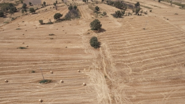 Flying Over Cultivated Land with Bales of Straw alt