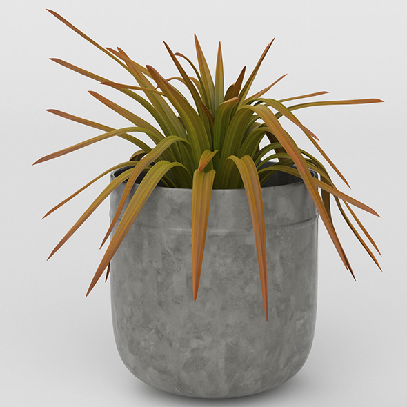 Vray Ready Potted - 3Docean 20713691