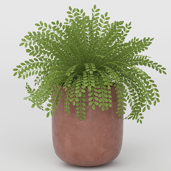 Vray Ready Potted - 3Docean 20713725