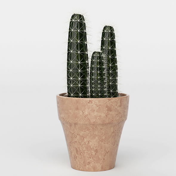 Vray Ready Potted - 3Docean 20716049
