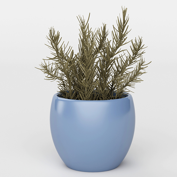 Vray Ready Potted - 3Docean 20716071