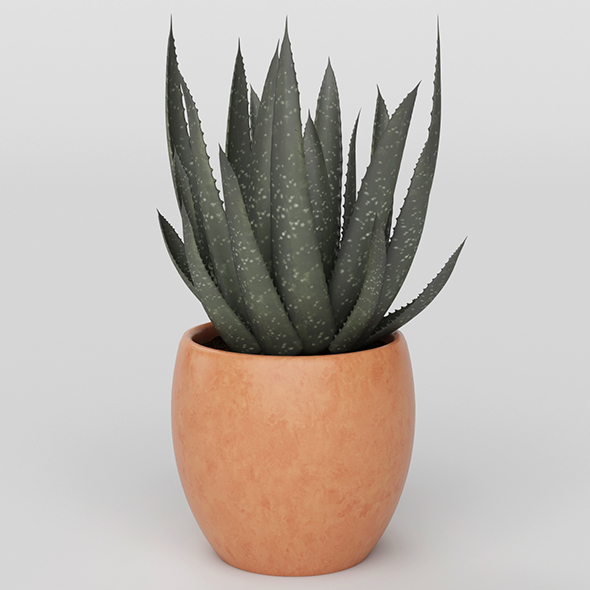 Vray Ready Potted - 3Docean 20716117