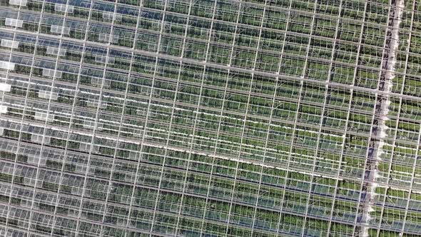 Aerial Greenhouse Farm 04