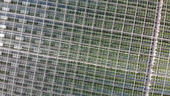 Aerial Greenhouse Farm 04 alt