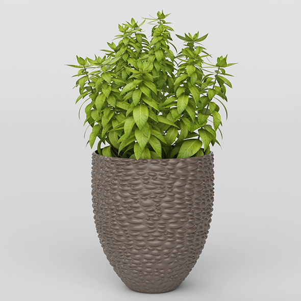 Vray Ready Potted - 3Docean 20717625