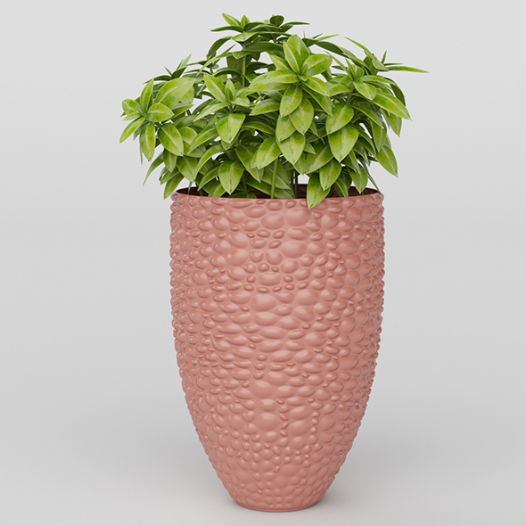 Vray Ready Potted - 3Docean 20717633