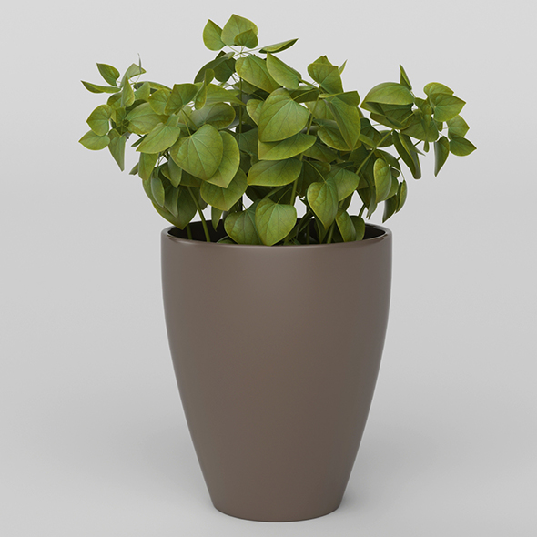 Vray Ready Potted - 3Docean 20717676