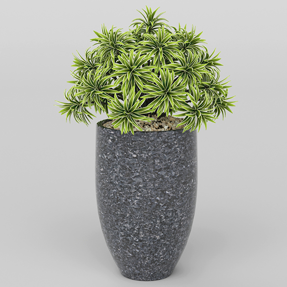 Vray Ready Potted - 3Docean 20717685