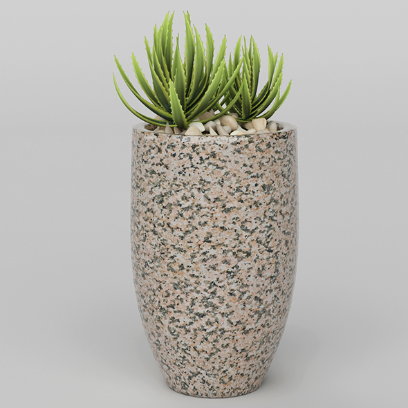 Vray Ready Potted - 3Docean 20717689
