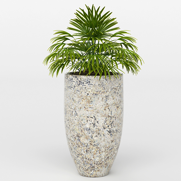 Vray Ready Potted Plant - 3DOcean Item for Sale