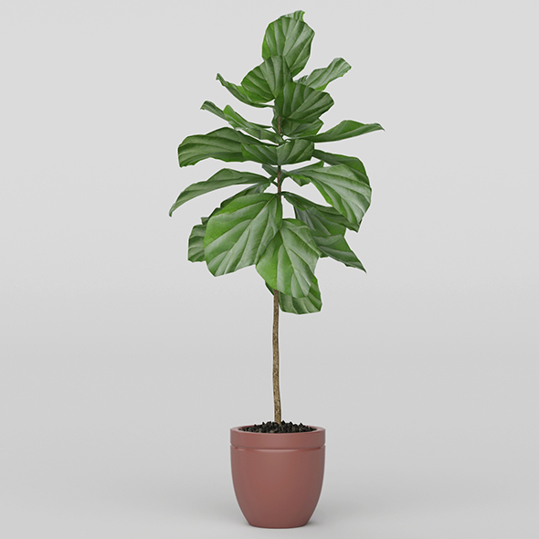 Vray Ready Potted - 3Docean 20717721