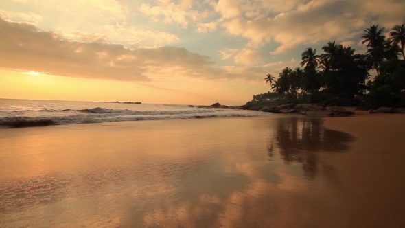 Sandy Beach with Palm Trees at Sunset alt