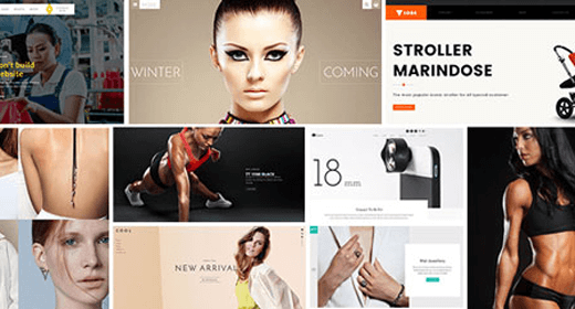 Most Popular Shopify Themes