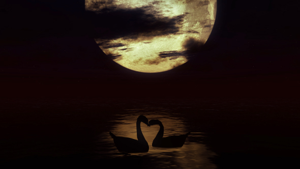 Swans By Moonlight >> Two Swans In The Water Against The Background Of A Big Moon 2 By Swans By Moonlight >> Two Swans In The Water Against The Background Of A Big Moon 2 By