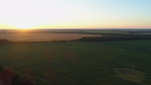 Aerial View Sunset or Sunrise in Green Corn Field Drone Shot Evening Landscape alt