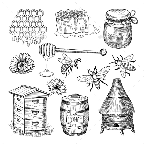 Honey Bee Collection - Miscellaneous Vectors