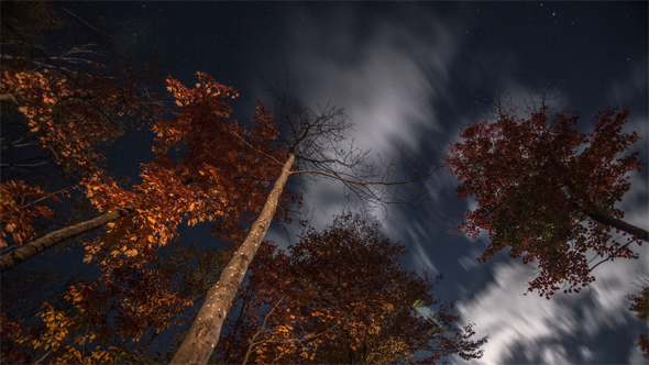fall night sky in Quebec time lapse