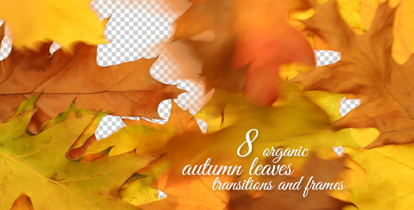 Organic Autumn Leaves Transitions and Frames