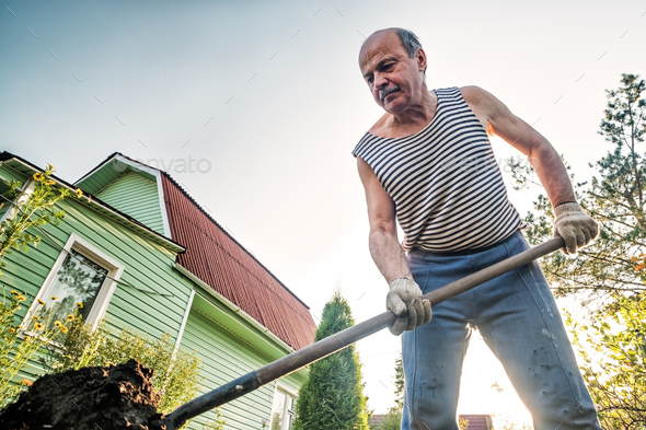 Portrait of caucasian male farmer with shovel digging the land in the country house - Stock Photo - Images