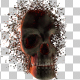 Skull Transforming Skull Transforming - VideoHive Item for Sale