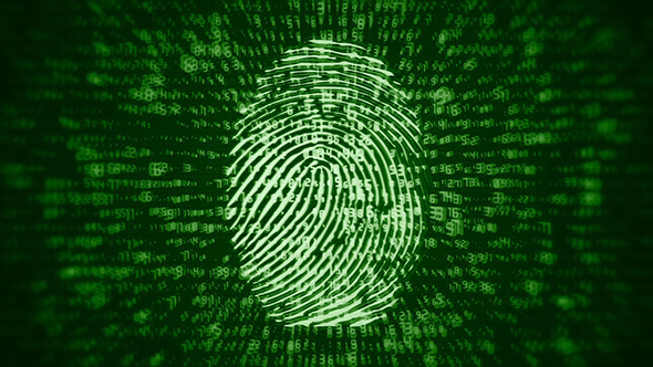 Fingerprint Digital (2 in 1)