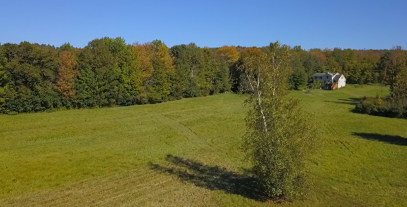 Focus on Single Tree in Field