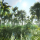 Fabulous Tropical Jungle - VideoHive Item for Sale