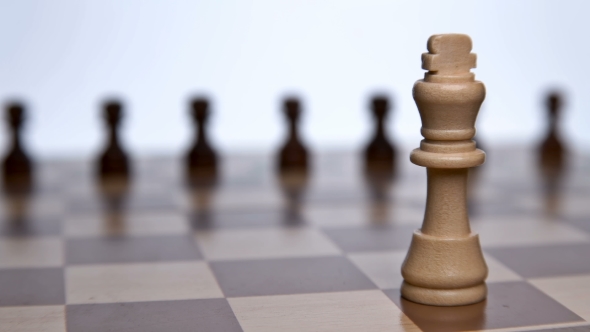 Chess King with His Servants Pawns alt