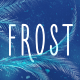 Winter Frost Elements - VideoHive Item for Sale