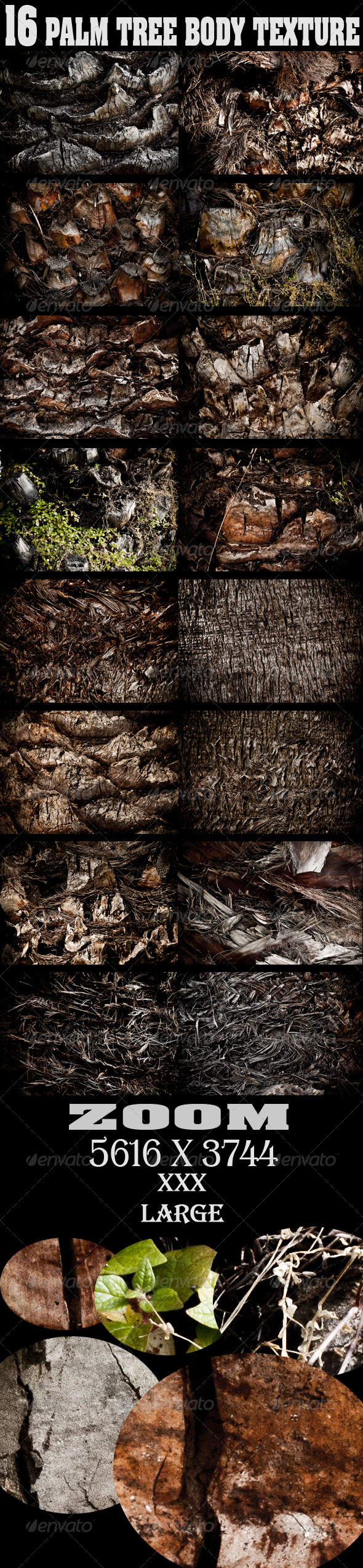 Palm Tree Body Texture - Wood Textures