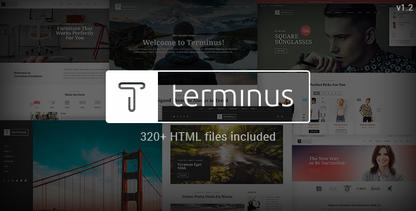 Terminus - HTML - ThemeForest 14715207