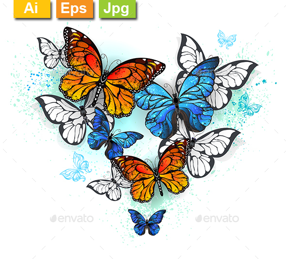 Morpho and Monarchs - Animals Characters