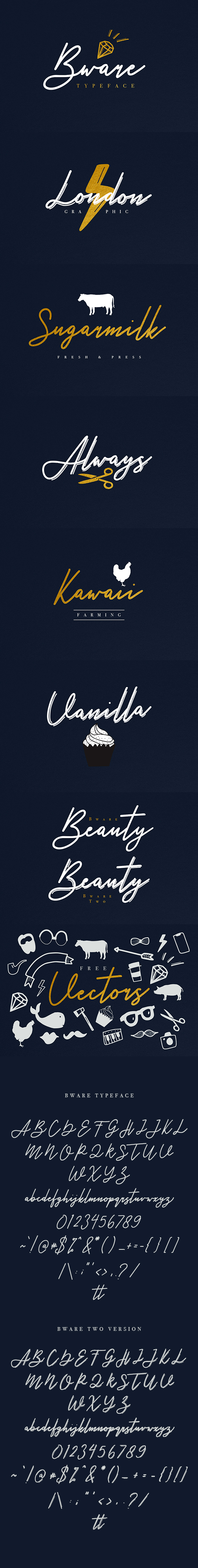 Bware Typeface - Calligraphy Script