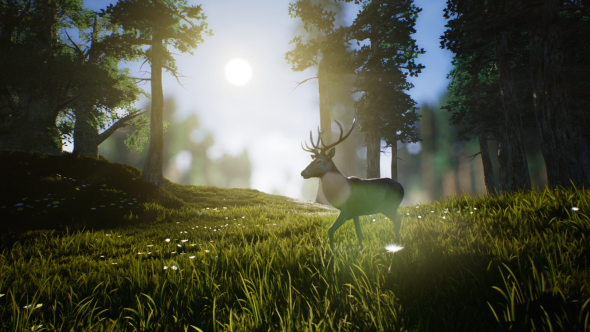 Lonely Deer alt