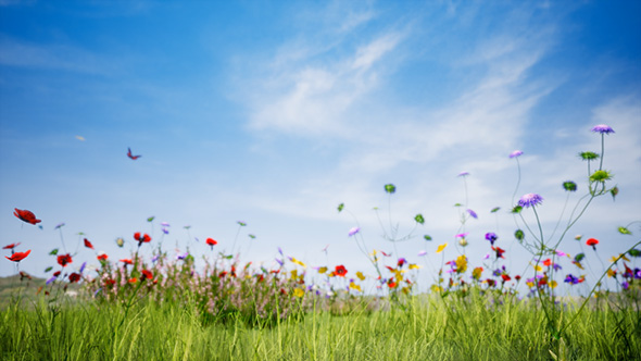 Meadow Background 4K