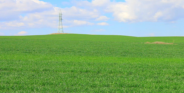Wheat Field And Electricity Pylon